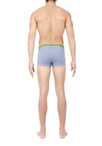 Person wearing grey boxer briefs with a green waistband on a white background