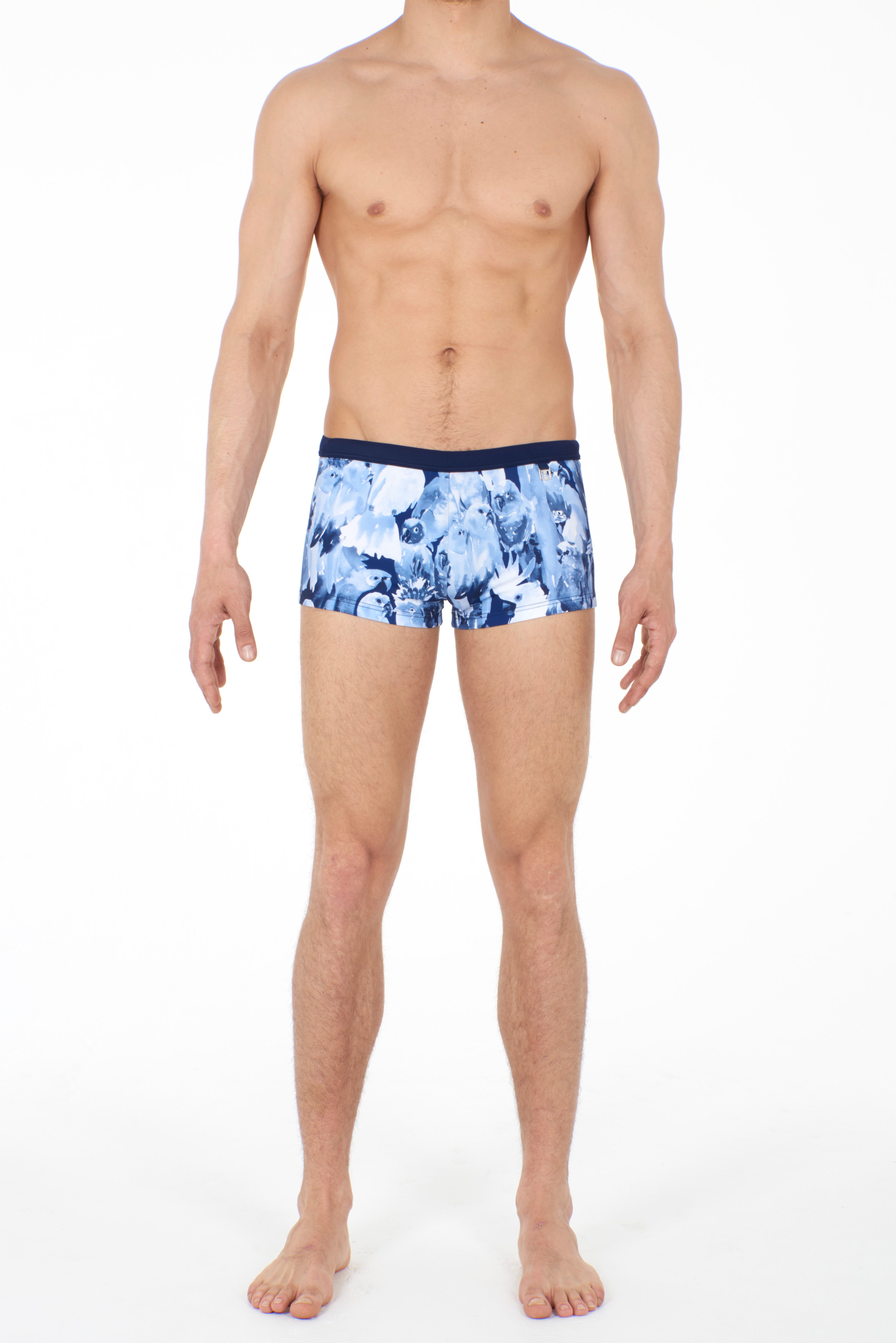 Papagayo Swim Shorts | Blue 401259-00BI