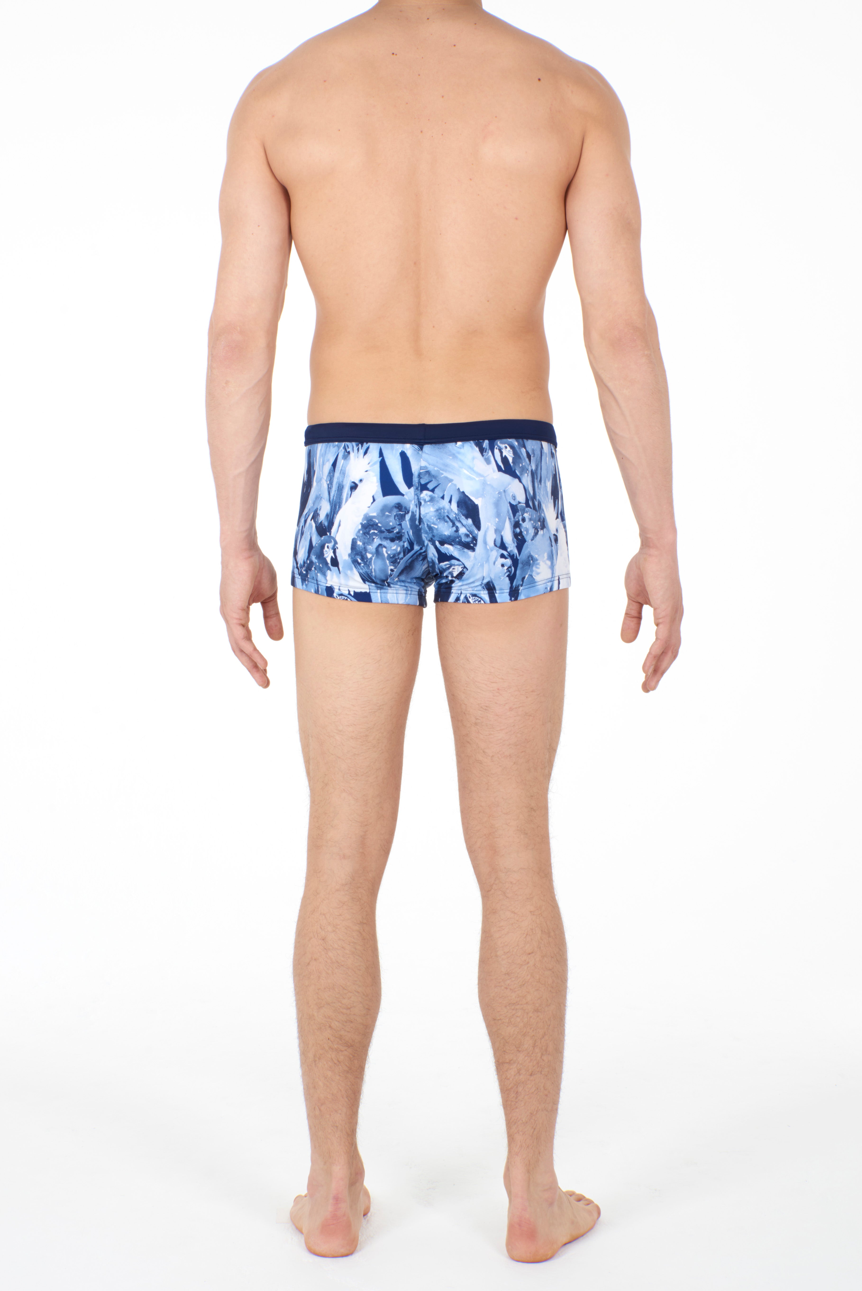 Papagayo Swim Shorts | Blue 401259-00BI