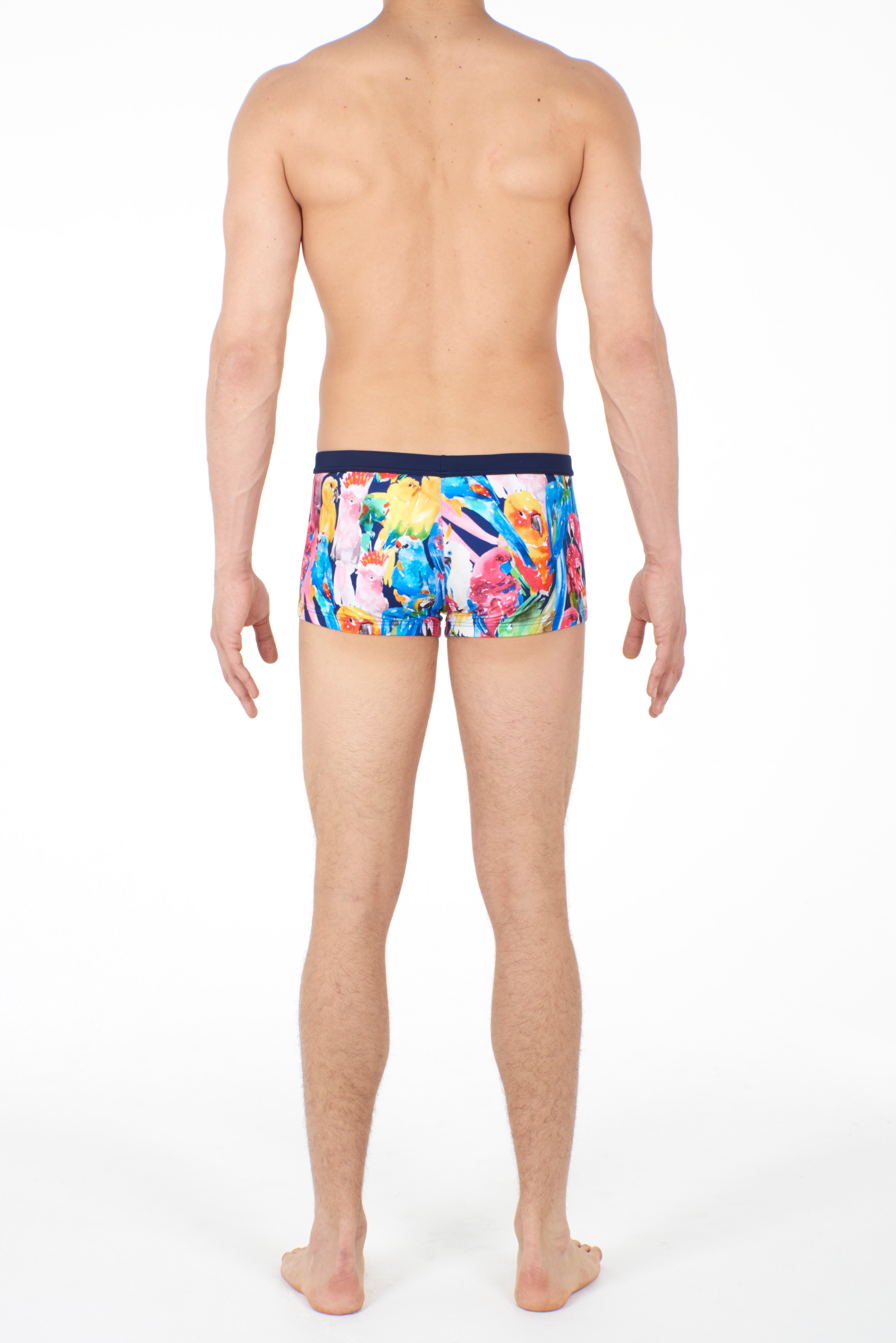 Papagayo Swim Shorts | Multi-Colour 401259-M023