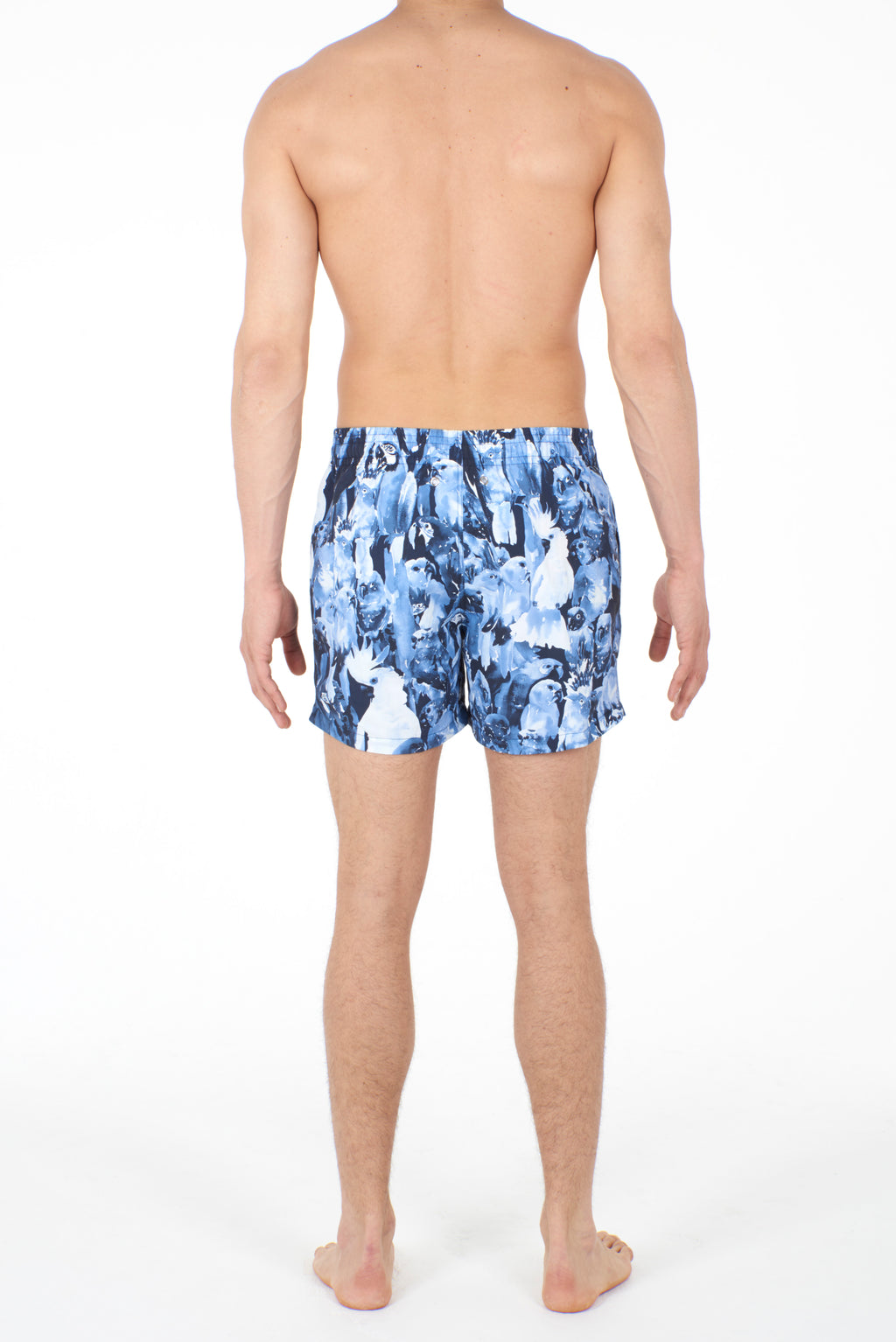 401277 Papagayo Beach Boxer - 00BI Blue