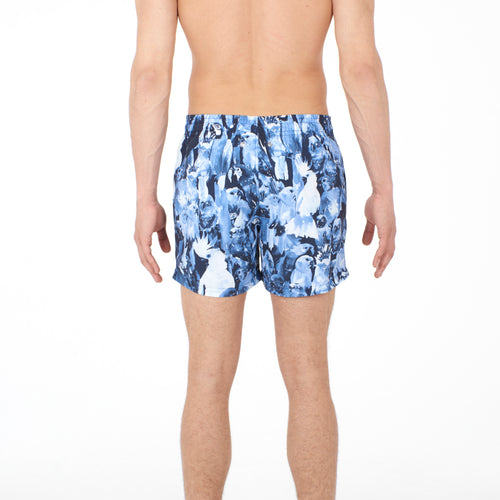 401277 Papagayo Beach Boxer - 00BI Blue