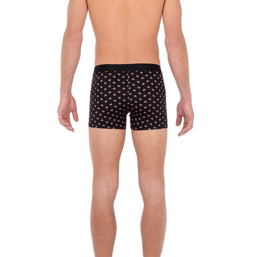 Romeo Boxer Briefs | Black Prin 402307-P004
