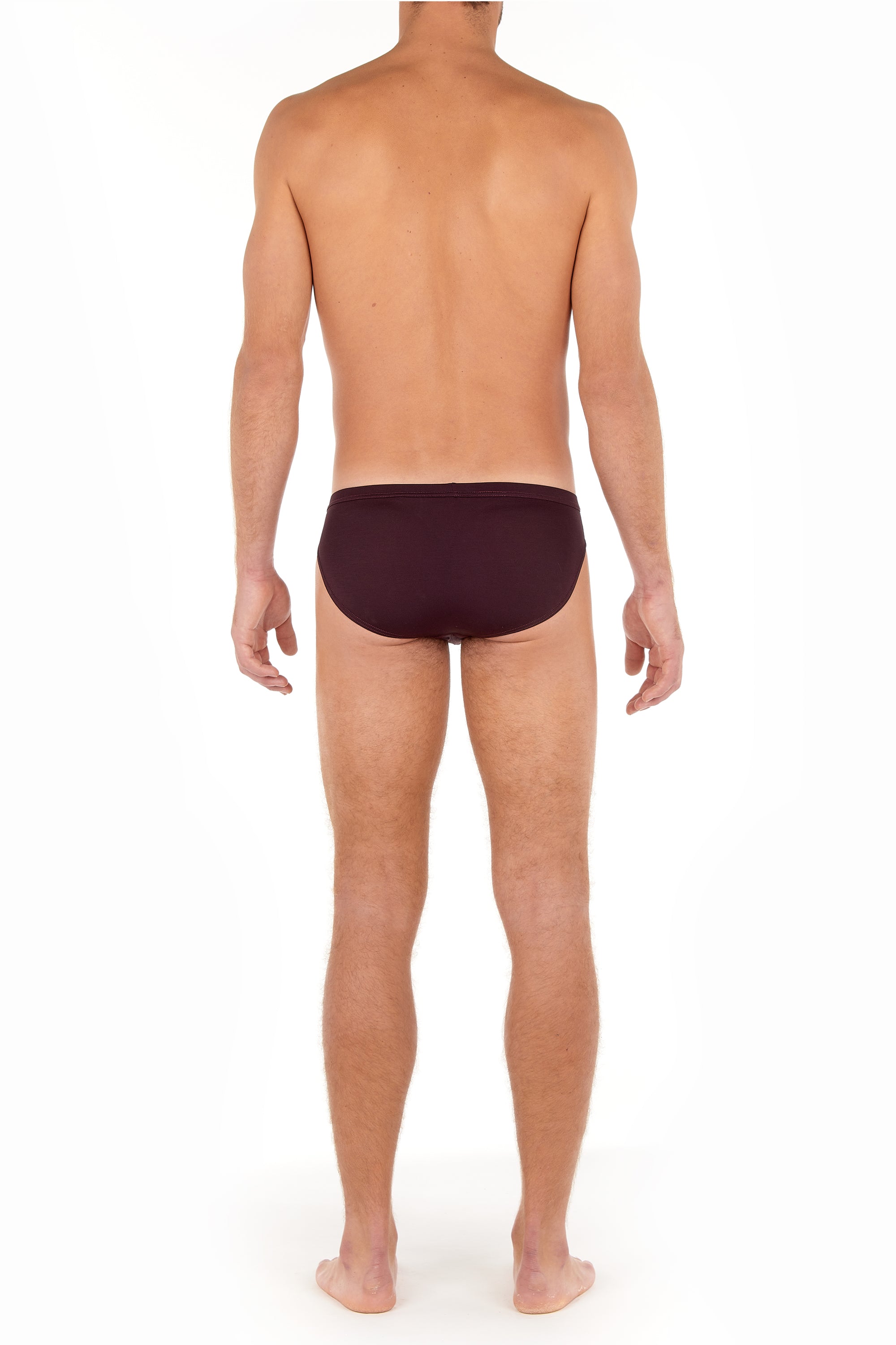 402463 Tencel Soft Comfort Micro Briefs - 00ZQ Bordeaux