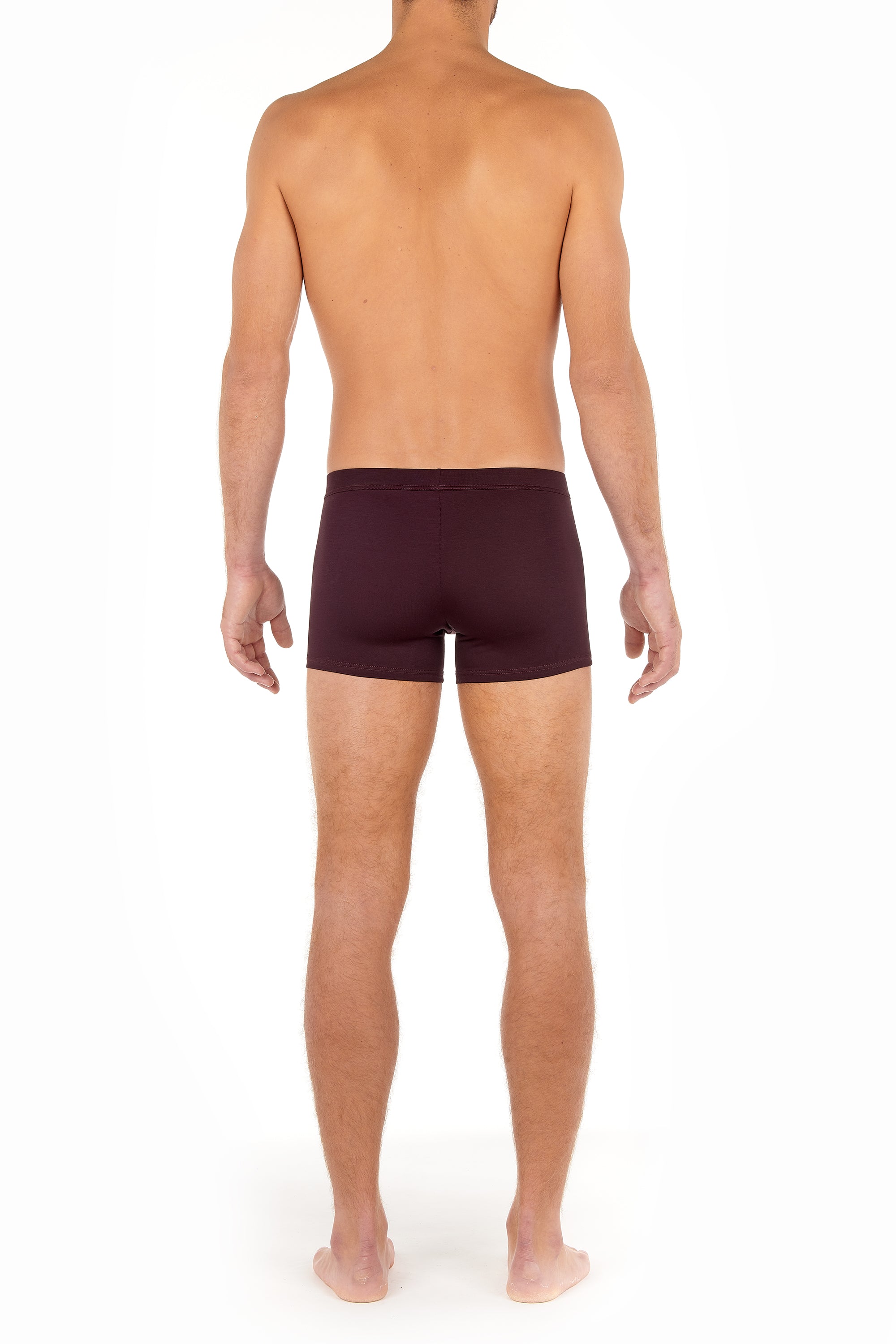 402465 Tencel Soft Comfort Boxer Briefs Ho1 - 00ZQ Bordeaux