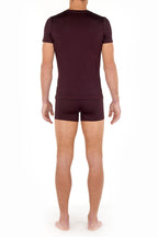 402466 Tencel Soft T-Shirt V Neck - 00ZQ Bordeaux