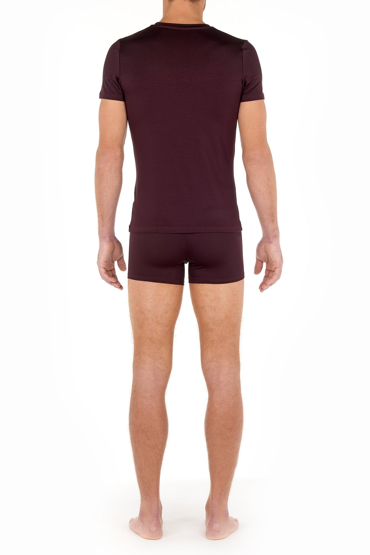 402466 Tencel Soft T-Shirt V Neck - 00ZQ Bordeaux