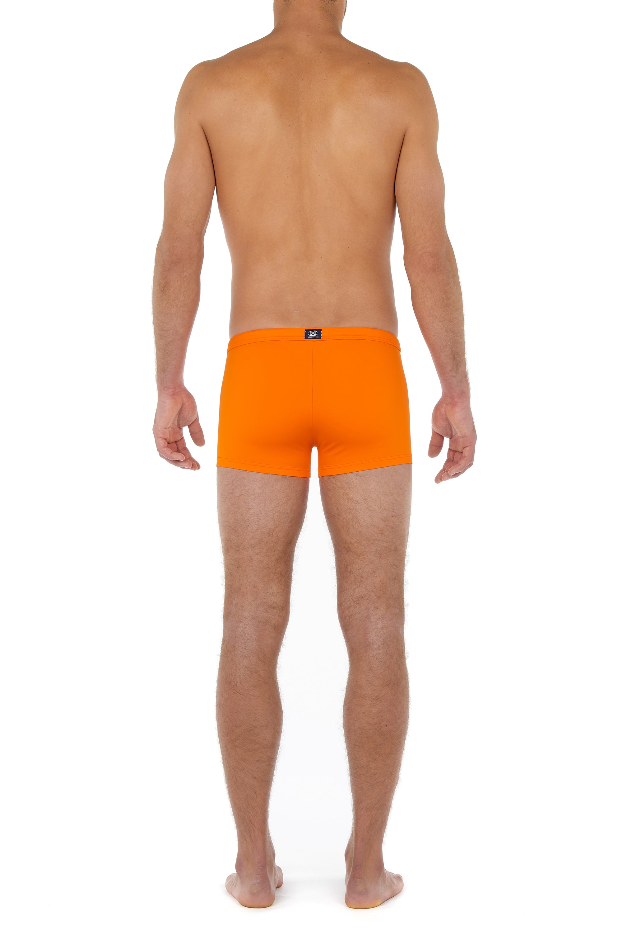 402535 Sea Life Swim Shorts - 1035 Orange