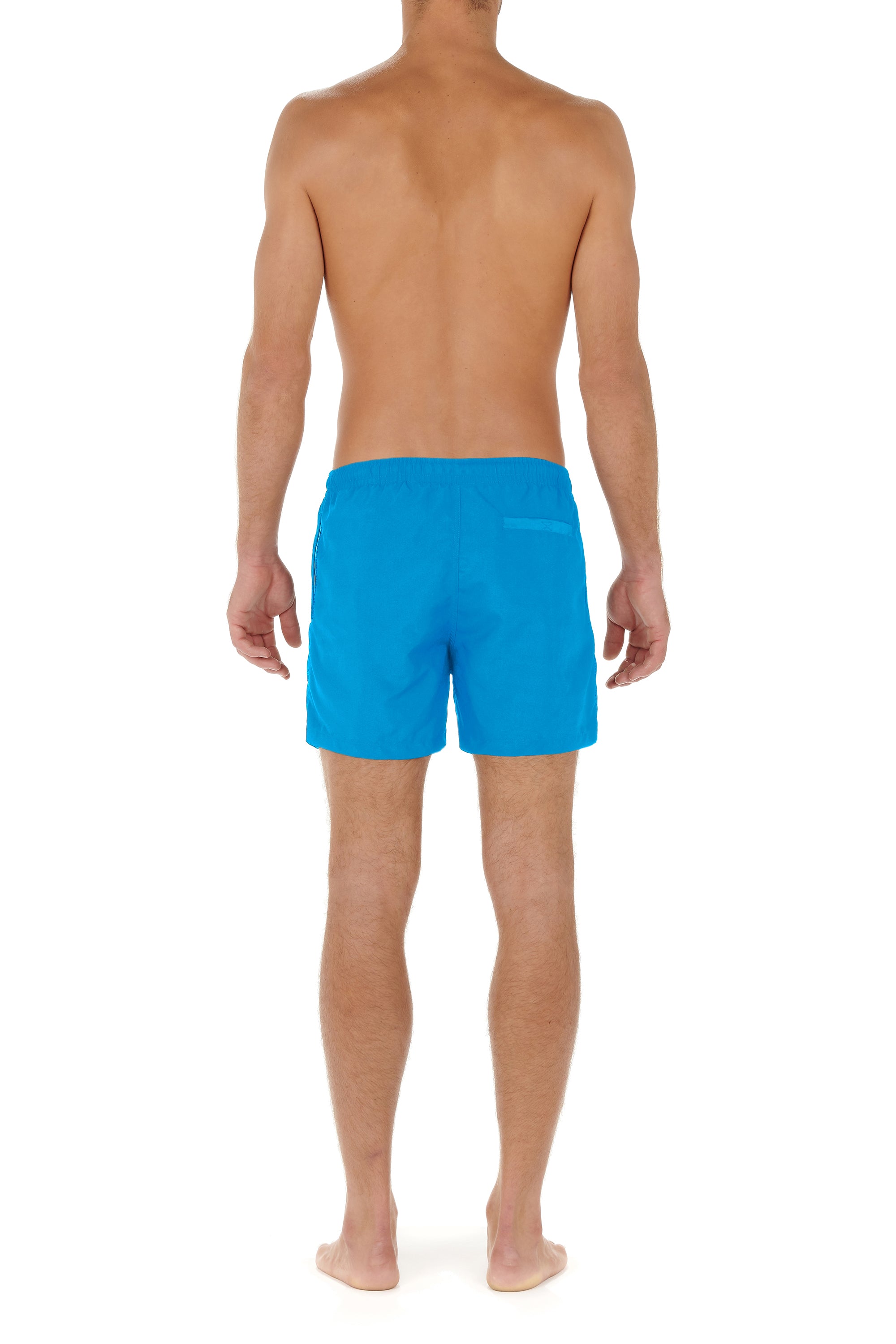 402537 Sea Life Beach Boxer - 00PF Turquoise