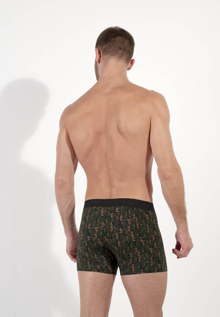 Vizzavona Boxer Briefs | Khaki Print 403078-P0XD