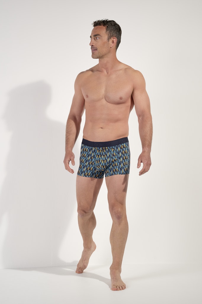 Westgate Boxer Briefs Ho1 | Blue Print 403135-I0BI