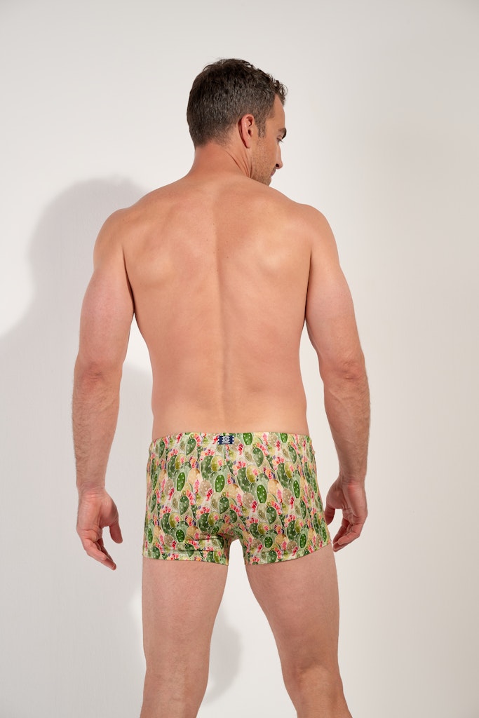 Taormina Swim Shorts | Green Print 403178-P126