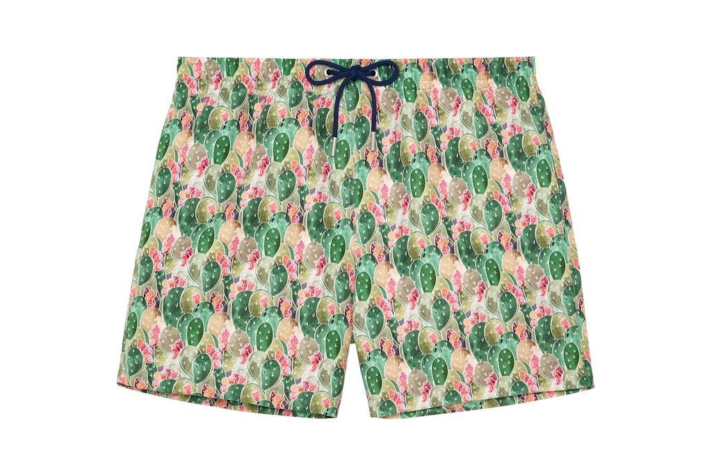 Taormina Beach Boxer | Green Print 403179-P126