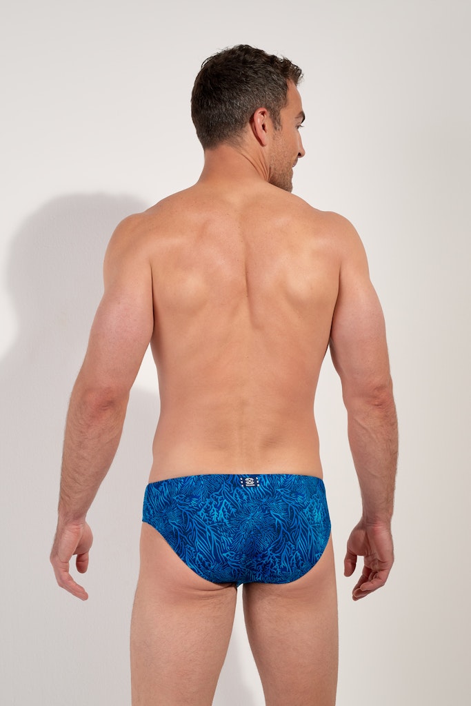Panarea Swim Mini Briefs | Blue Print 403189-P0BI