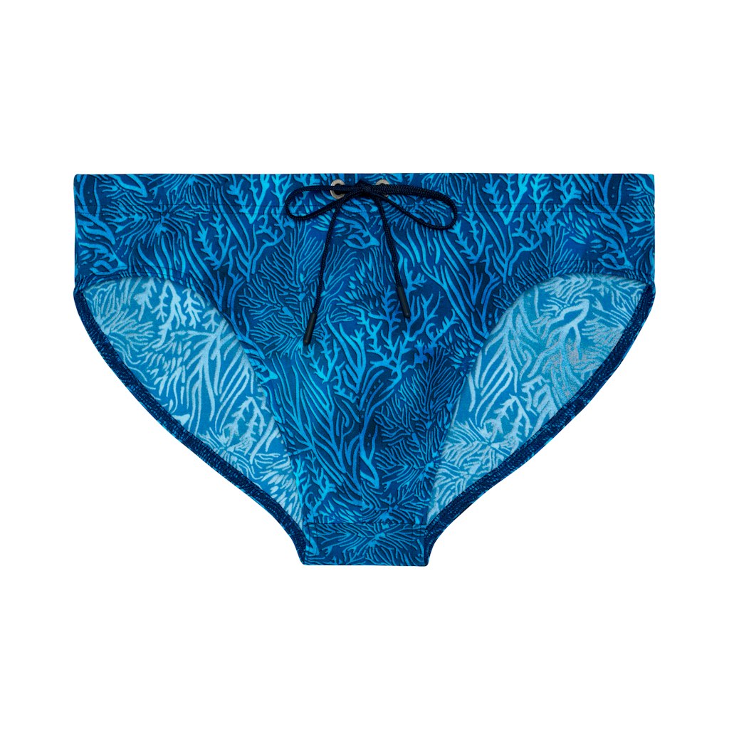 Panarea Swim Mini Briefs | Blue Print 403189-P0BI
