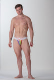 Sexy Fun Tanga Briefs | Multico Print 463034-P023