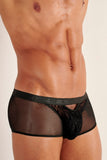 Personal Allure Trunk | Black 463047-0004
