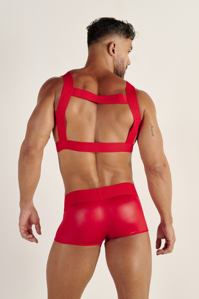 Night Universe Harness | Red 463066-00PA