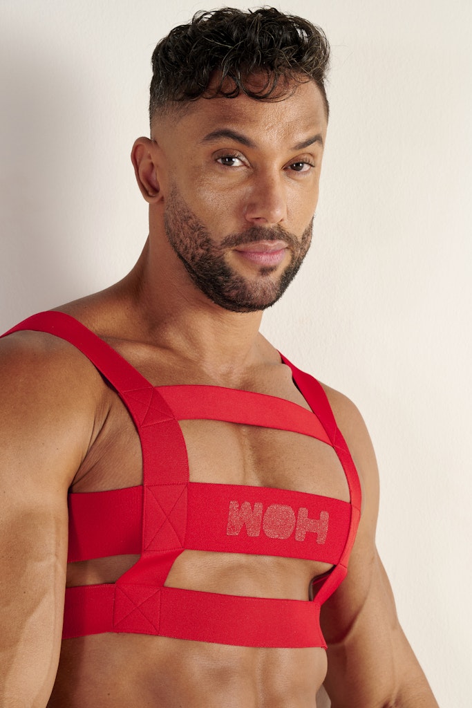 Night Universe Harness | Red 463066-00PA