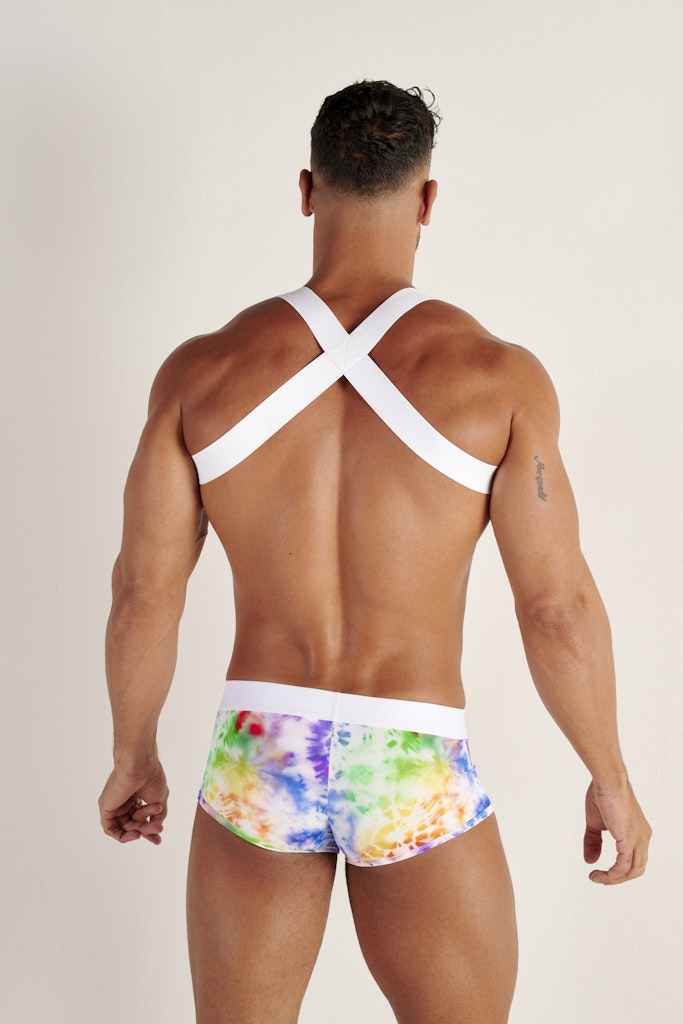 Sexy Fun Harness | Multi- Colour 463067-M023