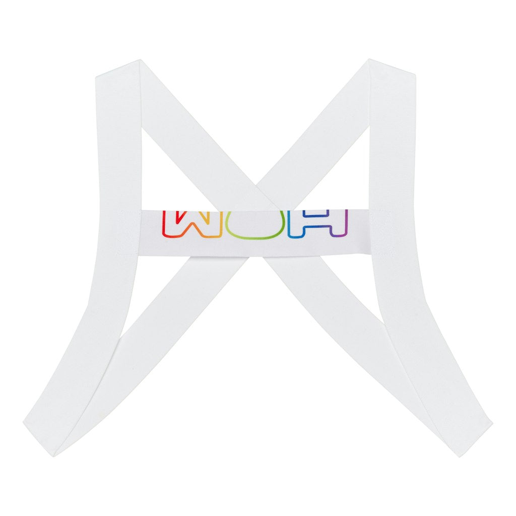 Sexy Fun Harness | Multi- Colour 463067-M023