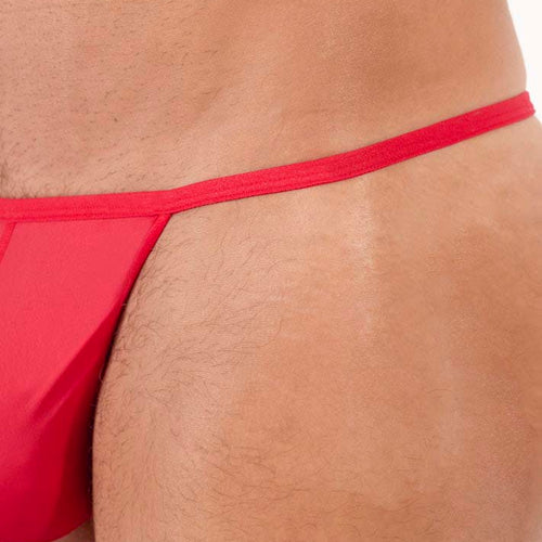 359931 Plumes G-String - 4063 Red