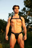 Sexy Fun Harness | Black 463038-0004